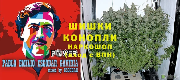 стаф Армянск
